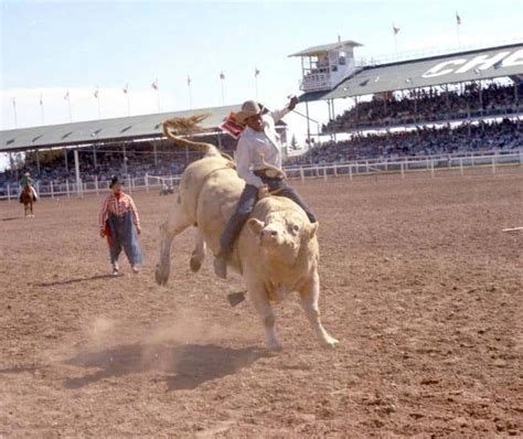  The Wyoming Wrangler Showdown -  Will Ferrell's Hilarious Rodeo Adventure!